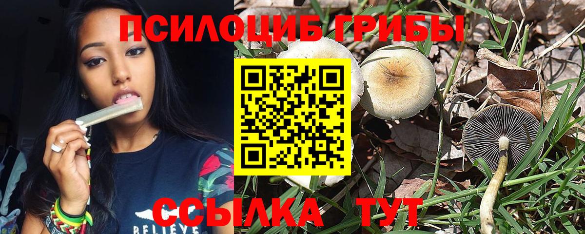 купить  сайты  Псилоцибиновые грибы Psilocybine cubensis  Вход с VPN  Дзержинский 