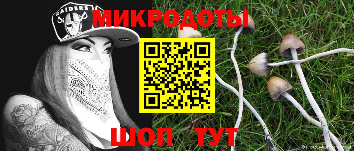 Псилоцибиновые грибы Psilocybine cubensis Дзержинский