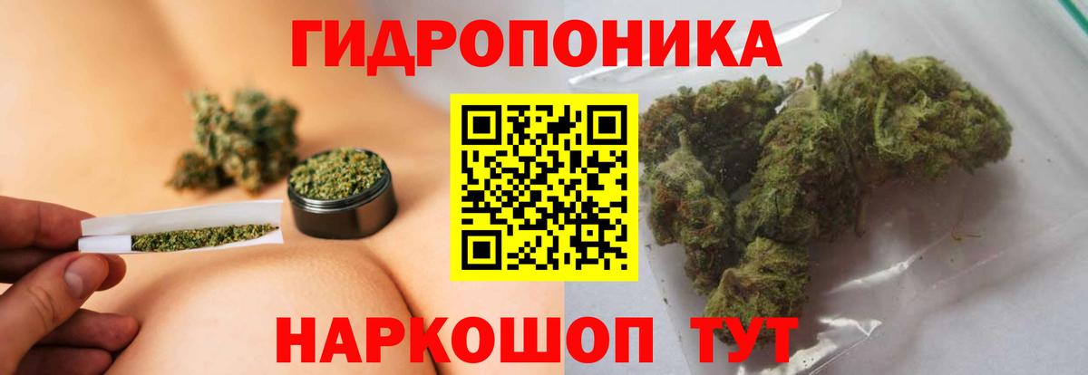 Бошки Шишки марихуана Дзержинский